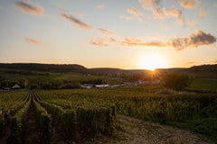 GFV SAINT VINCENT LES PAQUIERS